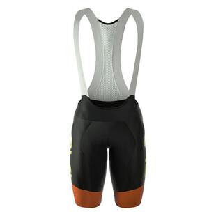 ale master bib shorts