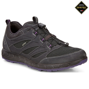 Ecco Mens GTX Biom Terrain Boots (Black/Dried Tobacco) | Sportpursuit