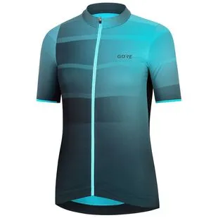 GORE Mens C3 Zip Jersey Terra Grey Black Sportpursuit