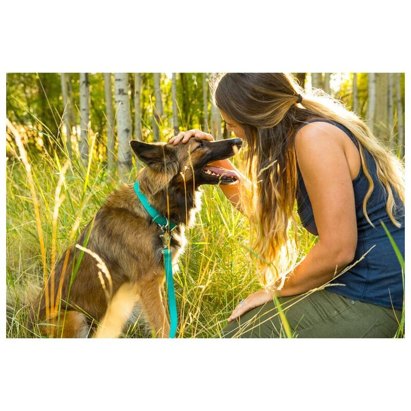 Ruffwear timberline best sale collar