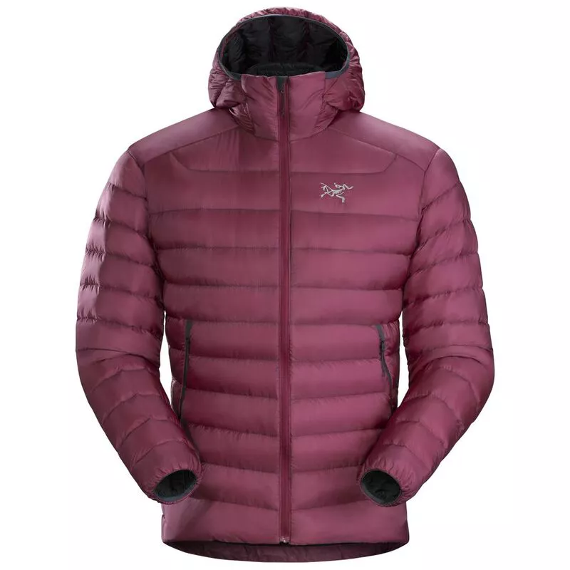Arcteryx mens cerium sl hoody hotsell