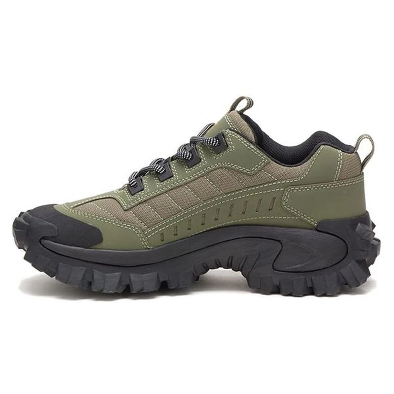 Intruder 2025 cat footwear
