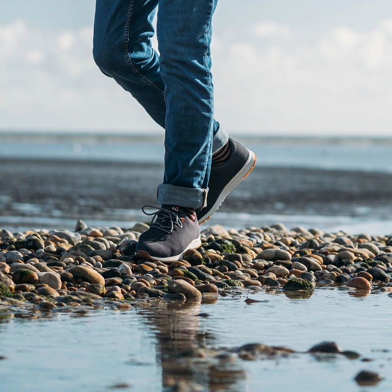 Merino trainers online