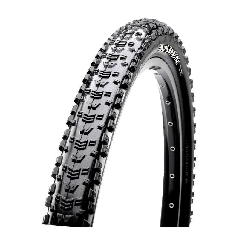 Maxxis aspen 29x2 10 store