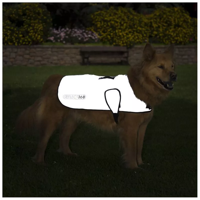 Proviz dog cheap coat