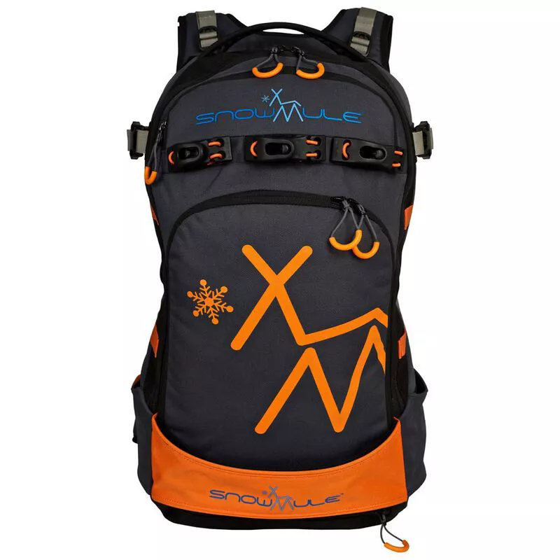 ski carrier bag